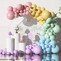 112pcs, Pastel Balloon Garland Arch Kit With 112pcs Latex Balloons In 5/10/18 Different Sizes, Macaroon Perfect For Birthday Party, Graduation, Holiday Decoration And Photo Booth Background