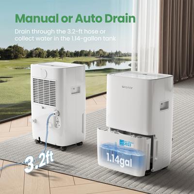 Sleavon 130 Pints Energy Star Rated Dehumidifier for Rooms and Basements,Auto or Manual Drainage