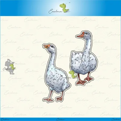 Kingsly & Merriweather metal cutting dies 2021 new diy molds Scrapbooking Paper Making die cuts crafts