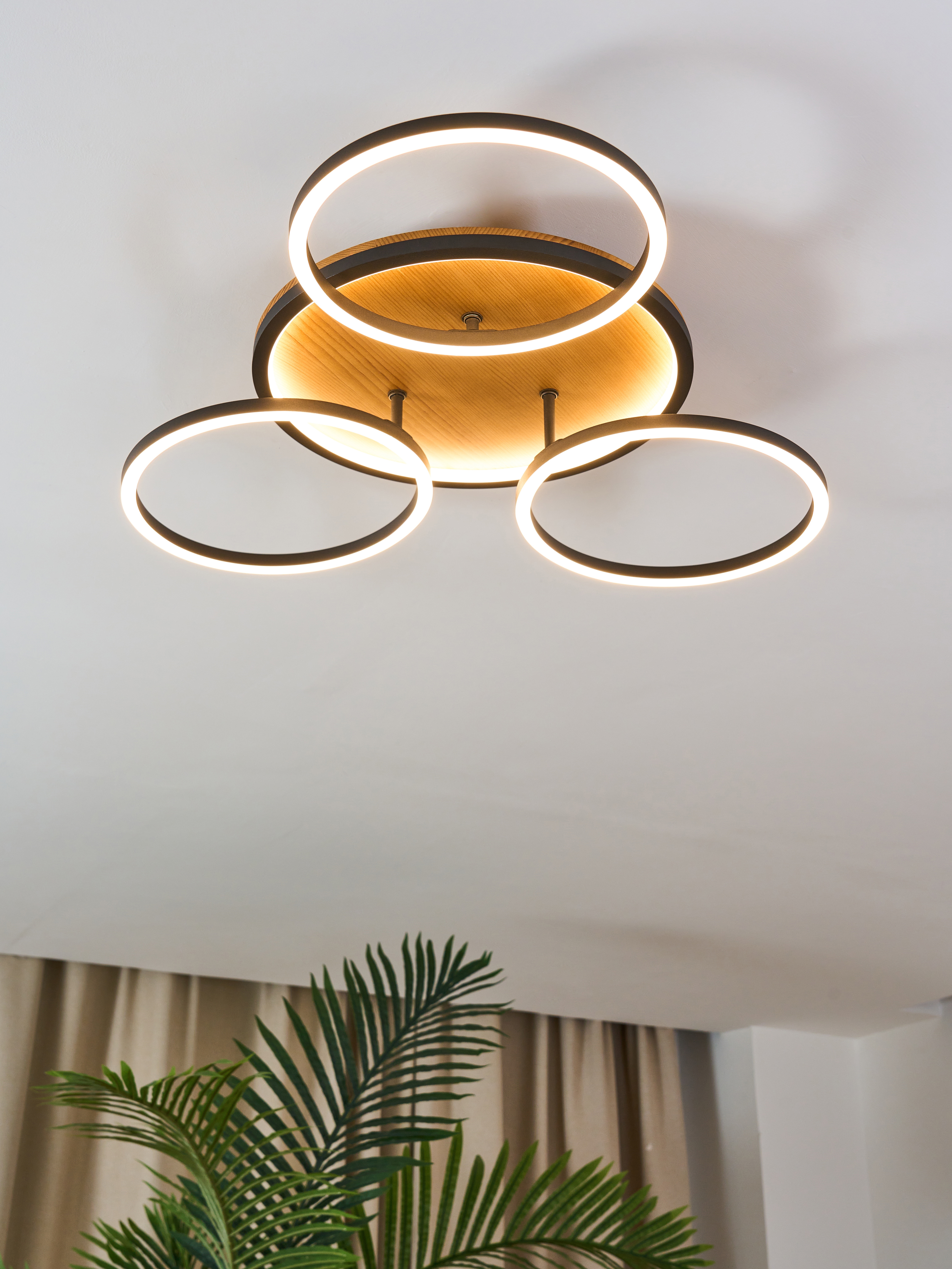 ECO-LIGHT LED Deckenleuchte "LED-Deckenleuchte KIRU", schwarz (schwarz, holzfarben), 3, H: 12, Leuchten Image