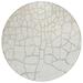 White 96 x 96 x 0.19 in Area Rug - Addison Rugs Chantille Area Rug Polyester | 96 H x 96 W x 0.19 D in | Wayfair ACN1049IV8RO