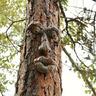Bark Tree Face Tree Strange Facial Features Resin Ornaments Eid Al-adha Mubarak