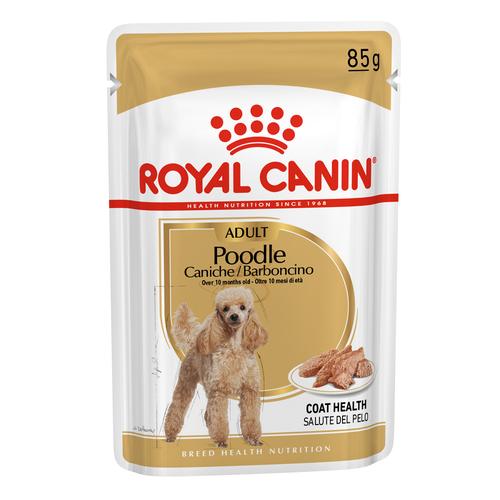 48x85g Royal Canin Poodle Adult Hundefutter nass