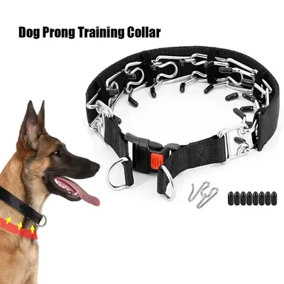 Hundetrainingshalsband, Krappenhalsband mit Schnellverschluss-Schnalle und Nylonbezug, Image