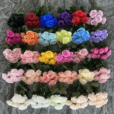 Flowers+Plants