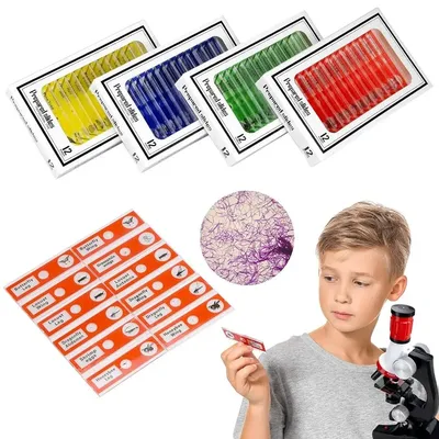 Prepared Microscope Slides for Kids, Plastic Animals Insects Plants Flowers Sample Specimens for Students Children