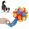 Incoraggia le abilità di foraggiamento naturale giocattoli interattivi di Puzzle per cani