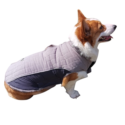 Hund Katze Mäntel Jacke Mode Niedlich Winter Warm Atmungsaktiv Weich Waschbar Bequem Outdoor Alltagstauglich Hundebekleidung for Bichon Frise Zwergspitz Baby Haustier Papillon Klein Image