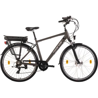 E-Bike HOLLANDIA "Zagon" E-Bikes Gr. 53cm, 28 Zoll (71,12cm), grau (anthrazit) Pedelec, Elektrofahrrad für Damen u. Herren