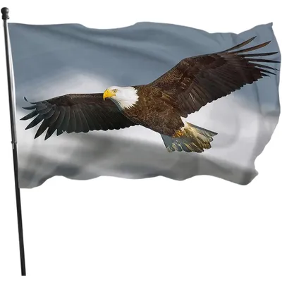 Eagle Flag Bird Bald Eagle Flying in The Sky Snow Mountain Outdoor Flags Large Welcome Yard Banners