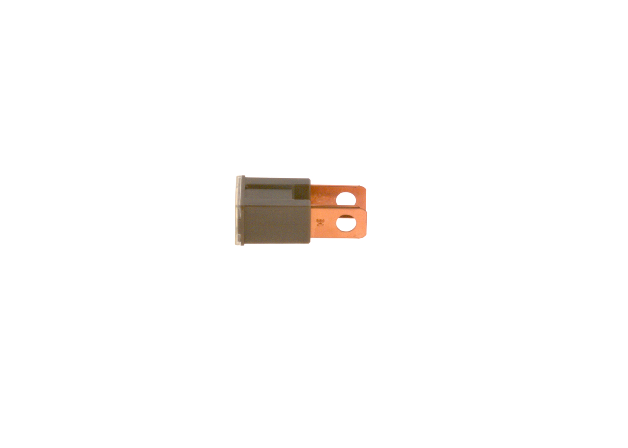 BOSCH Sicherung 1 987 529 072 Image