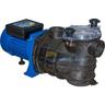 Pompa Bravia da 2,00 hp monofase. 500554M. qp.