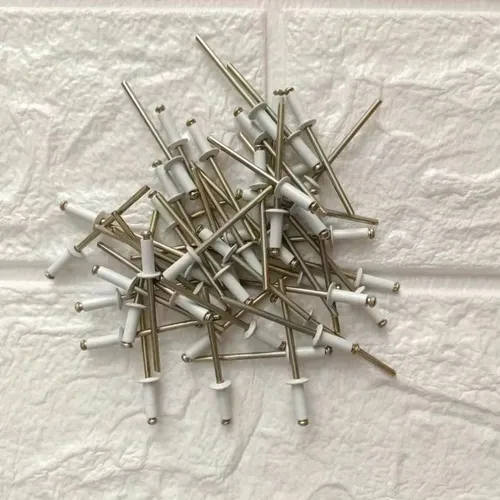 Rivets aveugles peints en or blanc, 50 pièces, Rivets creux à tête ronde en acier et aluminium, Rivets de décoration pour la maison, attaches industrielles DIA 1/8