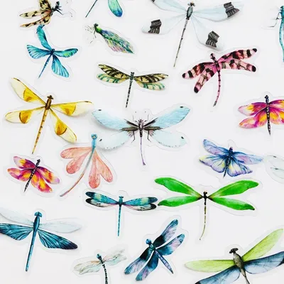 40pcs/Pack Insects Dragonfly Butterfly Sticker Creative Material Decorative Stationery Sticker Label