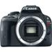 Canon Used EOS Rebel SL1 DSLR Camera (Body Only) 8575B001