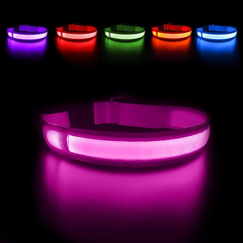 Im Dunkeln leuchtendes Haustierhalsband für kleine mittelgroße Hunde, LED-Hundehalsband für nächtliche Spaziergänge Image