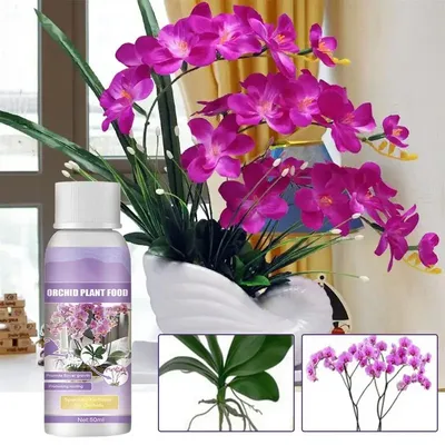 50ml Orchid Special Fertilizer Rooting Liquid Orchid Liquid Fertilizer Agent Potted Plant Food