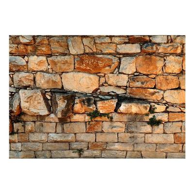 Surface Texture Wallpaper Wall Mural - Big Stones Castle Wall