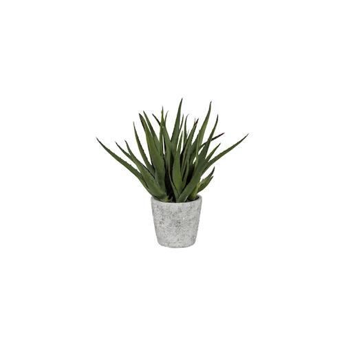 CREATIV green künstliche Pflanze Aloe, ca 44cm
