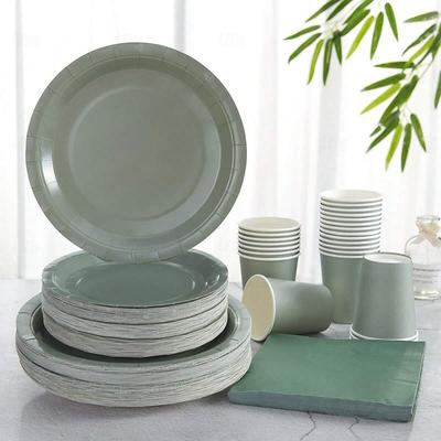 Sage Green Disposable Paper Plates and Napkins Sage Green Plates and Napkins Party Supplies for 24 Guests Disposable Paper Plate Party Dinnerware for Birthday Wedding Party Family Picnic