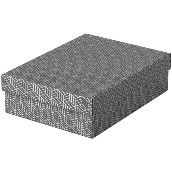 Esselte 3er-Set Archivbox »Home M« flach grau, 26.5x10x36 cm