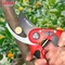 Délices-Sécateur électrique durable, outils de jardin, ciseaux d