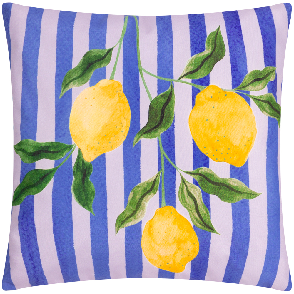 furn. Lemons Striped Outdoor Cushion Cover - Blue - Size 43 cm x 43 cm | furn. Sale | Discount Designer Brands