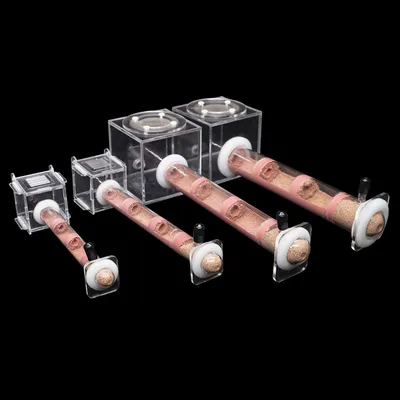 DIY Various Size Ant Farm Bamboo Tube Nest with Feeding Area Pet Anthill Workshop Queen Ant Breeding Nest Ant House Nest Bracket