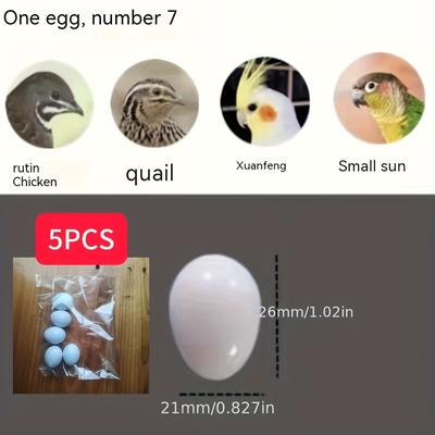 5pcs White Solid Fake Bird Eggs, Support Replacement Eggs For Parakeets, Canaries, Finches, Craft Diy Use