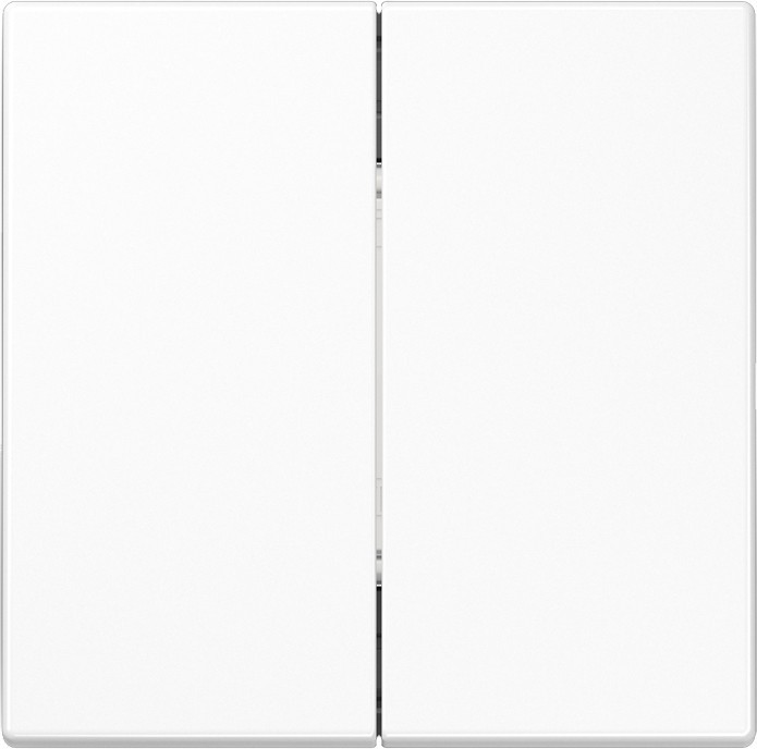 Jung Funk-Wandsender aws ENO LS 995 WW ENOLS995WW Image