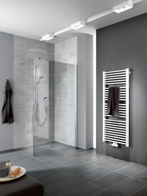 Kermi Walk-In Pasa XP TWG 1000x2000, silber hochglanz, ESG Opaco mit KermiClean, PXTWG PXTWG10020VYK Image