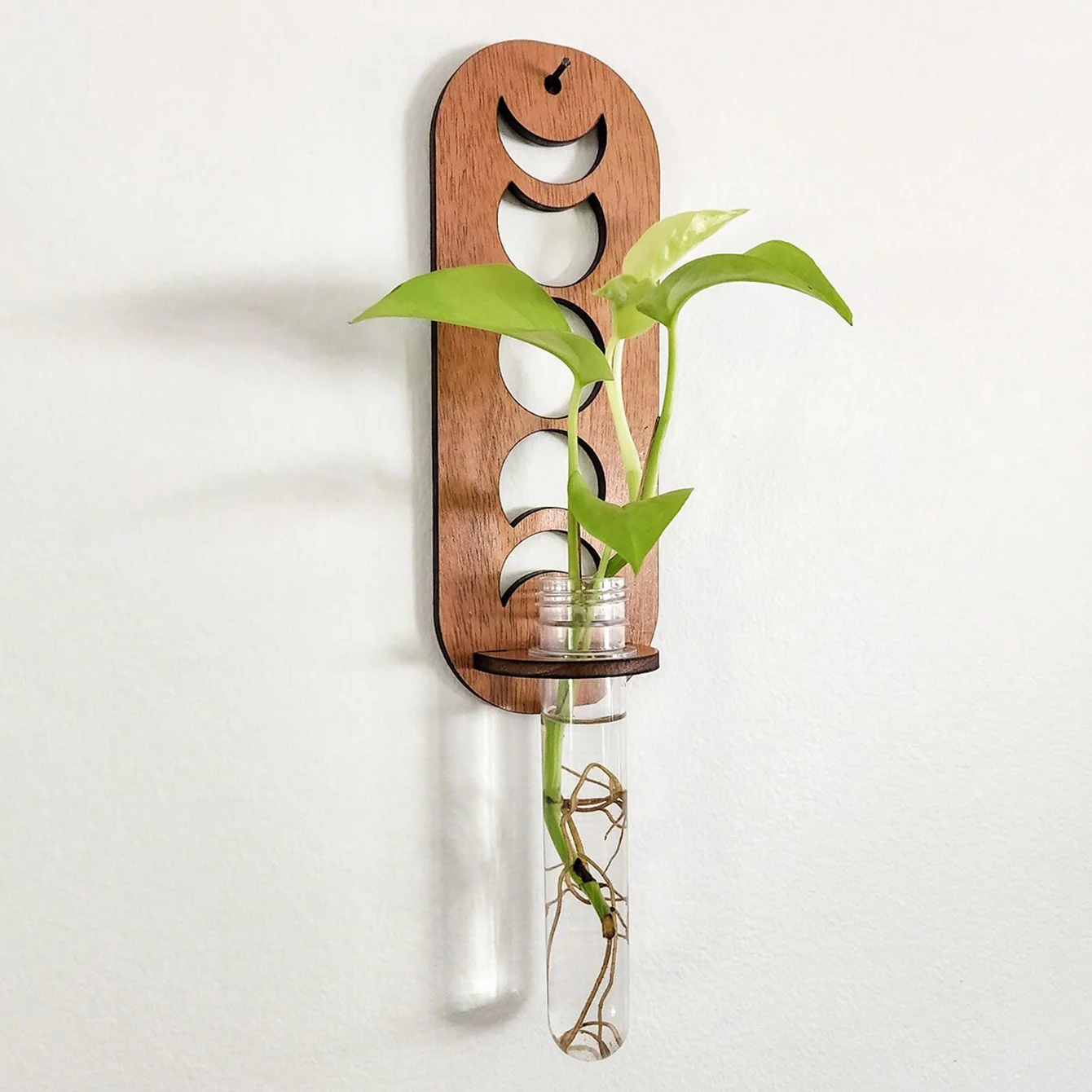 Pflanze Wand Hängen Regal Holz Ständer Container Display Regal Wand Dekor Leiste Garten Ästhetische Dekor Schlafzimmer Dekoration Image