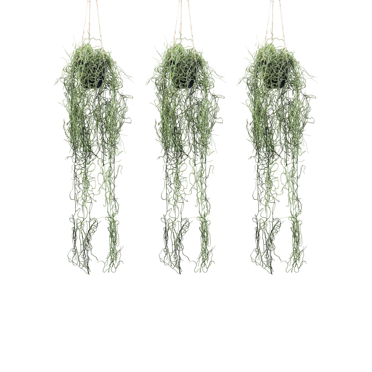 CREATIV green künstliche Pflanze Tillandsia Hänger, ca 80cm, 3er Set Image