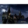 Ag Art - Poster intissé - Harry Potter poudlard dans la nuit - 155 x 110 cm