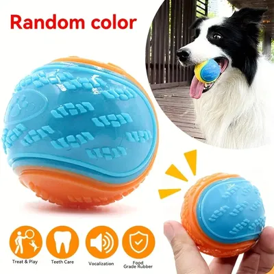 Dog+Supplies