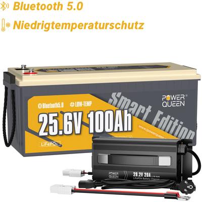 24V 100Ah Bluetooth LiFePO4 Lithium-Batterie mit Schutz vor niedrigen Temperaturen+24V 20A