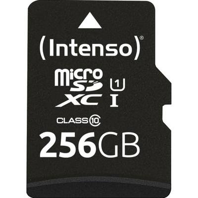 Intenso 256GB microSDXC Performance Carte microSD 256 GB Class 10 UHS-I étanche