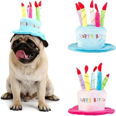 Cute Pet Birthday Hat Cats Dogs Cap Headwear Hat Pet Supplies Pets Gift Toys Dog Hats аксесуари для