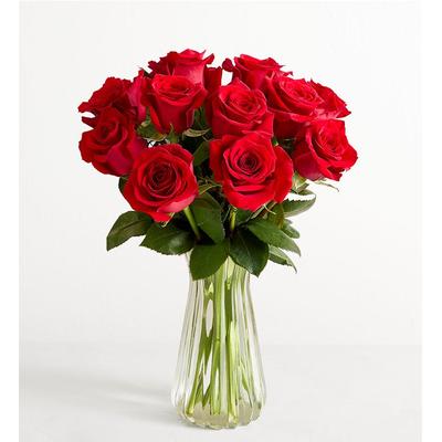1-800-Flowers Flower Delivery Red Roses 12 Stems W/ Clear Vase