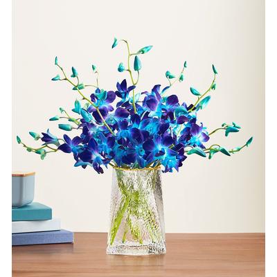 1-800-Flowers Flower Delivery A Night In Bali 10 Stems W/ Clear Vase