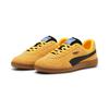 Sneaker PUMA "PUMA Handballschuhe Erwachsene", Gr. 43, orange (sun stream schwarz caramel latte orange beige), Obermaterial: Synthetik, Kuhleder; Futter: Synthetik; Innensohle: Textil; Laufsohle: Gummi, Schuhe