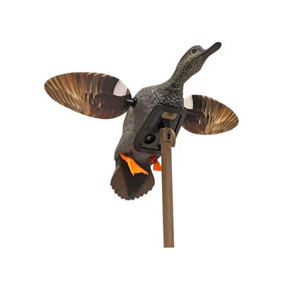 Mojo ES Gadwall Decoy HW24733P