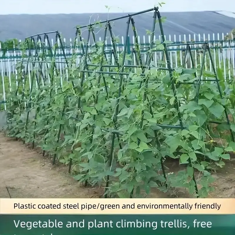"Robustes Wachstum" 20er Pack Mehrzweck-Pflanzens tütz pfähle-langlebiges Gemüse-und Weinreben gitter für Tomaten, Gurken, Trauben Image
