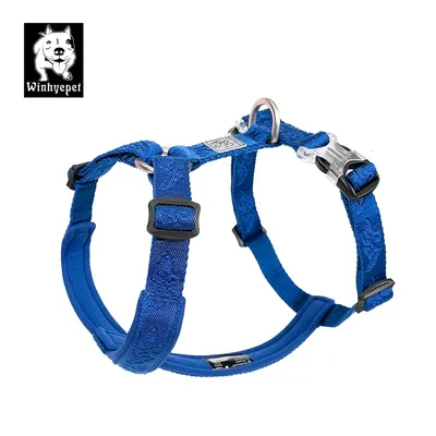 Winhyepet Trail Runner NO-Pull Haustier-Hundegeschirr, Produktzubehör, Outdoor, Reisen, Gehen, Image