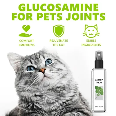 Katzen-Katzenminze-Spray für Katzen und Kätzchen im Innenbereich, tragbar, praktisch, Erreger-Spaß, Kätzchen-Gegenspreis für Katzenbetten, Spielzeugpfosten