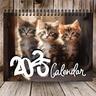 2025 Cute Cat Calendar 12 Months Spiral Calendar Cute Cat Wall Calendar