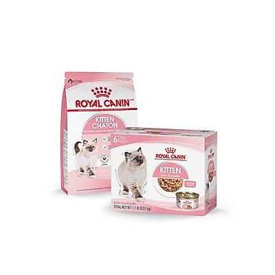 Royal Canin Feline Health Nutrition Thin Slices in Gravy Wet Kitten Food + Chicken Kitten Dry Cat Food