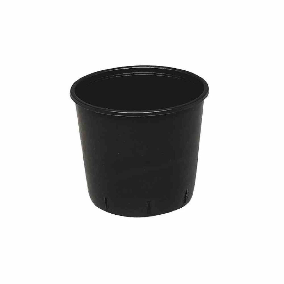 Pflanzcontainer schwarz 12 l 21x32cm, gelocht ohne Tragegriff 12 Schwarz Image