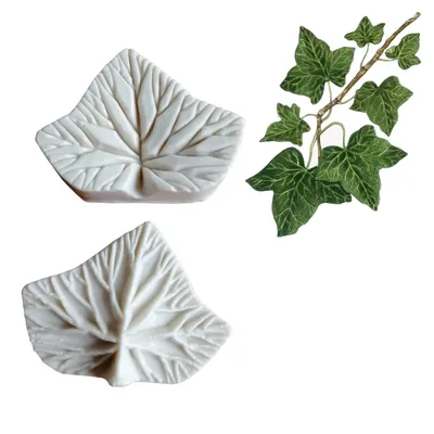 M364 Lvy Leaf Petal Flower Veiners Silicone Molds Fondant Sugarcraft Gumpaste Resin Clay Water