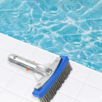 Swimming+Pools+Spas